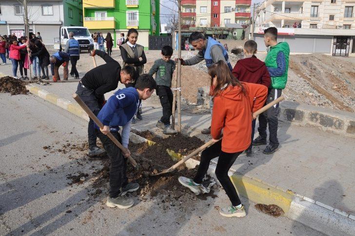 Cizre Belediyesi yeşil bir gelecek için çalışıyor G3