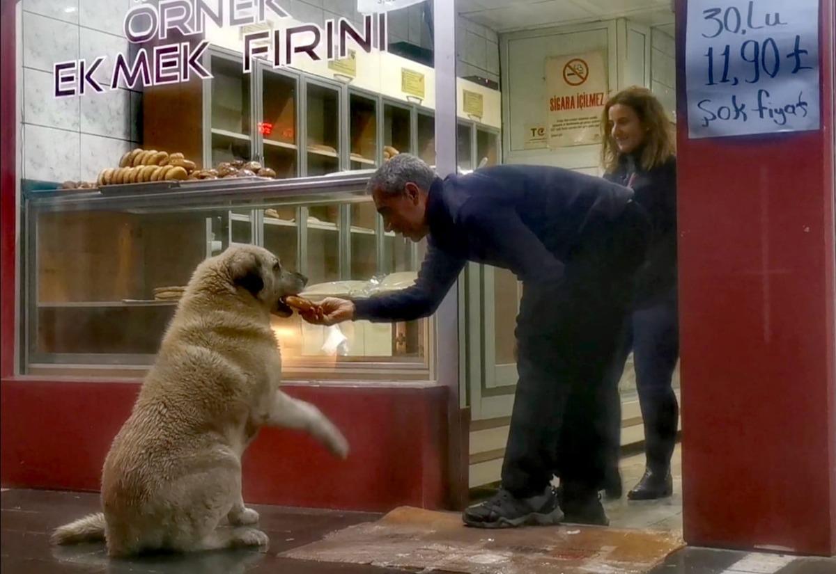 Tunceli'de y&uuml;rek ısıtan g&ouml;r&uuml;nt&uuml;! Acıkınca gittiği fırında karnını doyuruyor