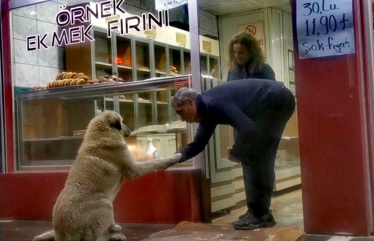 Tunceli'de yürek ısıtan görüntü! Acıkınca gittiği fırında karnını doyuruyor G3