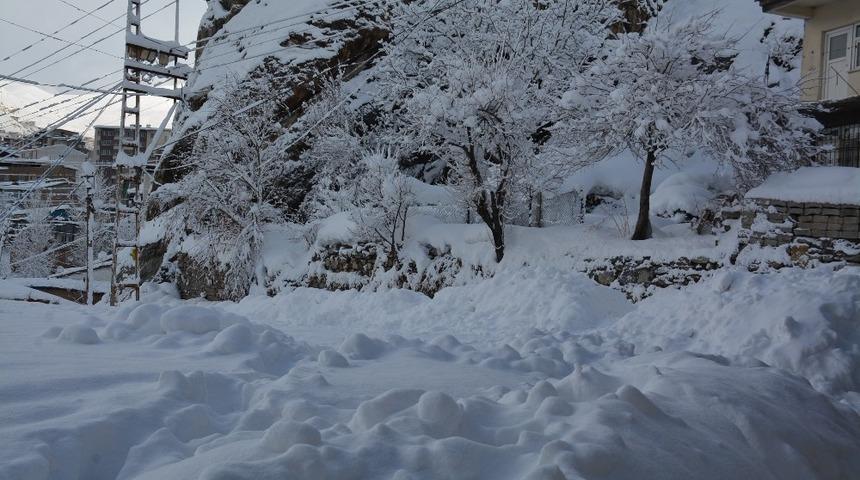Hakkari&rsquo;de 107 yerleşim yerinin yolu kapandı