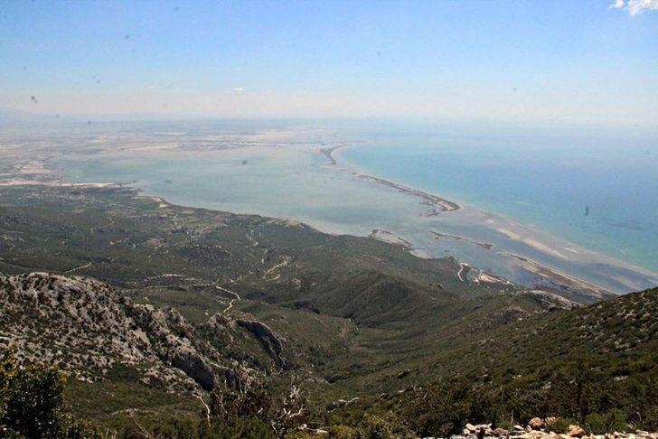 Büyük Menderes Deltası 256 kuş türüne ev sahipliği yapıyor G2