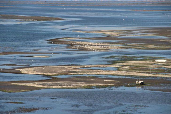 Büyük Menderes Deltası 256 kuş türüne ev sahipliği yapıyor G3
