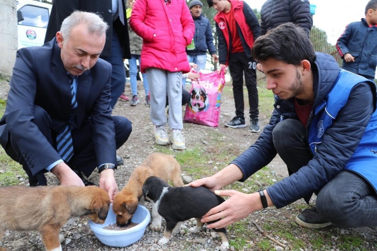 Belediye başkanı ve g&ouml;n&uuml;ll&uuml;ler yavru k&ouml;pekleri elleriyle besledi