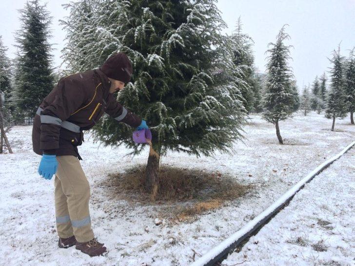 Çorum Belediye’si sokak hayvanlarına yem ve yiyecek bıraktı G5