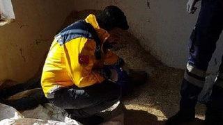 Hakkari'de bir göçmen donarak hayatını kaybetti