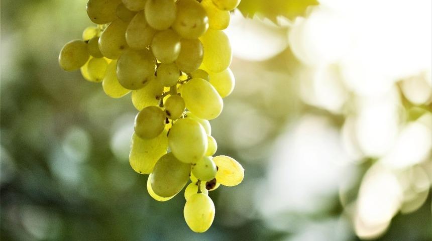 &Uuml;z&uuml;m i&ccedil;in sigorta zamanı 21 Şubat&rsquo;ta sona erecek