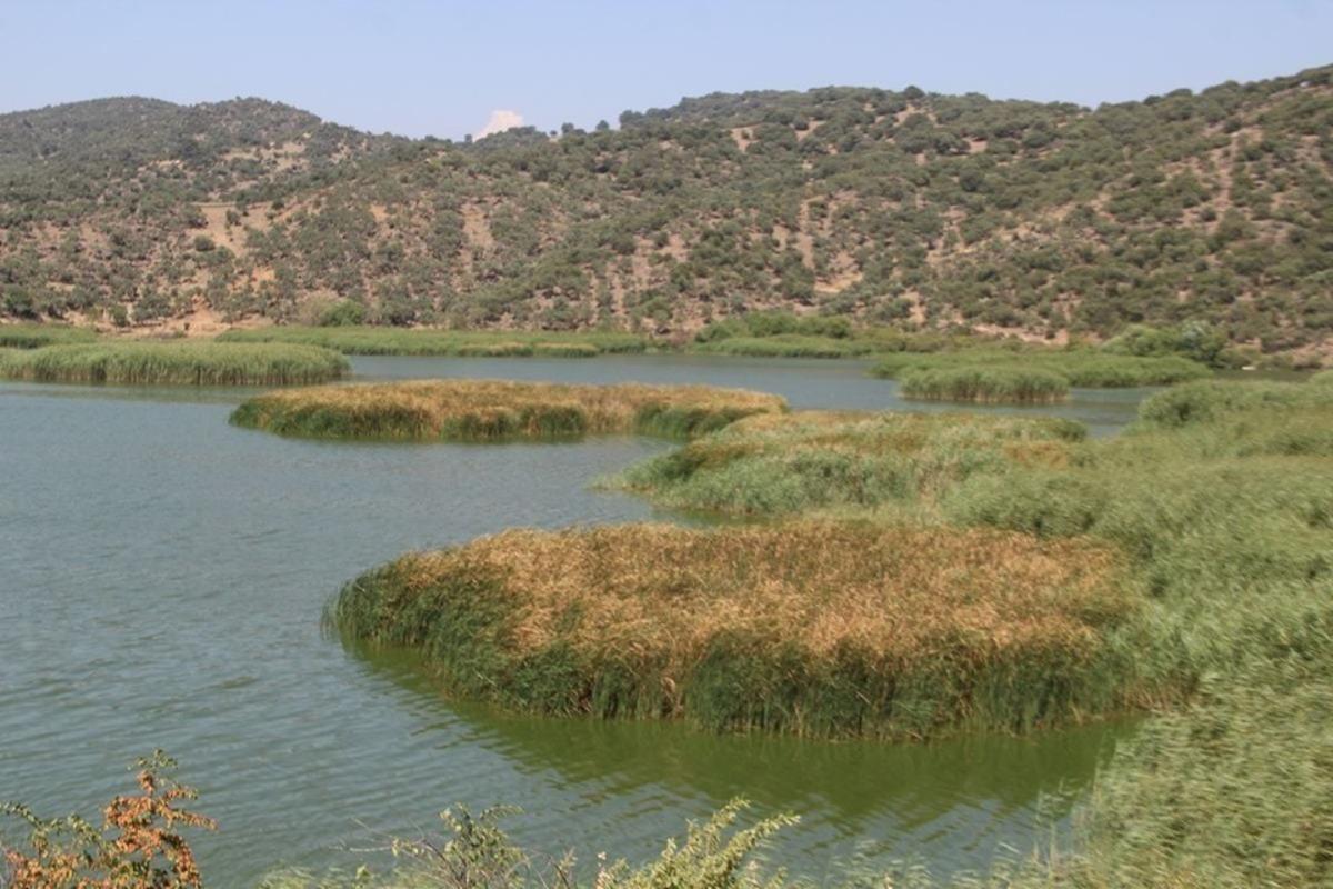 &Ouml;zdemir; &ldquo;Sulak alanlar yery&uuml;z&uuml;n&uuml;n klimasıdır&rdquo;