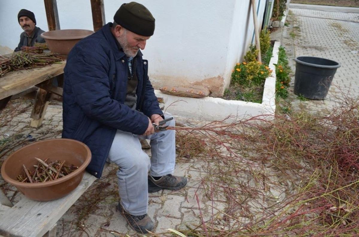 Artvin&rsquo;de orman k&ouml;yl&uuml;s&uuml; i&ccedil;in 27 bin gelir getirici fidan