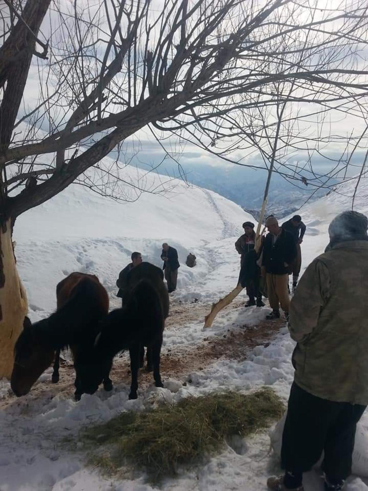 &Ouml;l&uuml;me terk edilen hayvanlara k&ouml;yl&uuml;ler sahip &ccedil;ıktı