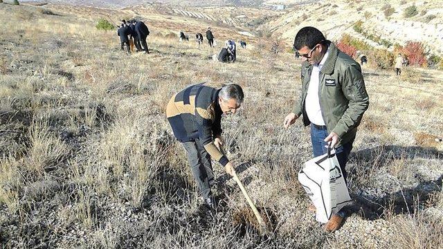 Malatya’da 7 tarım projesi desteklenecek