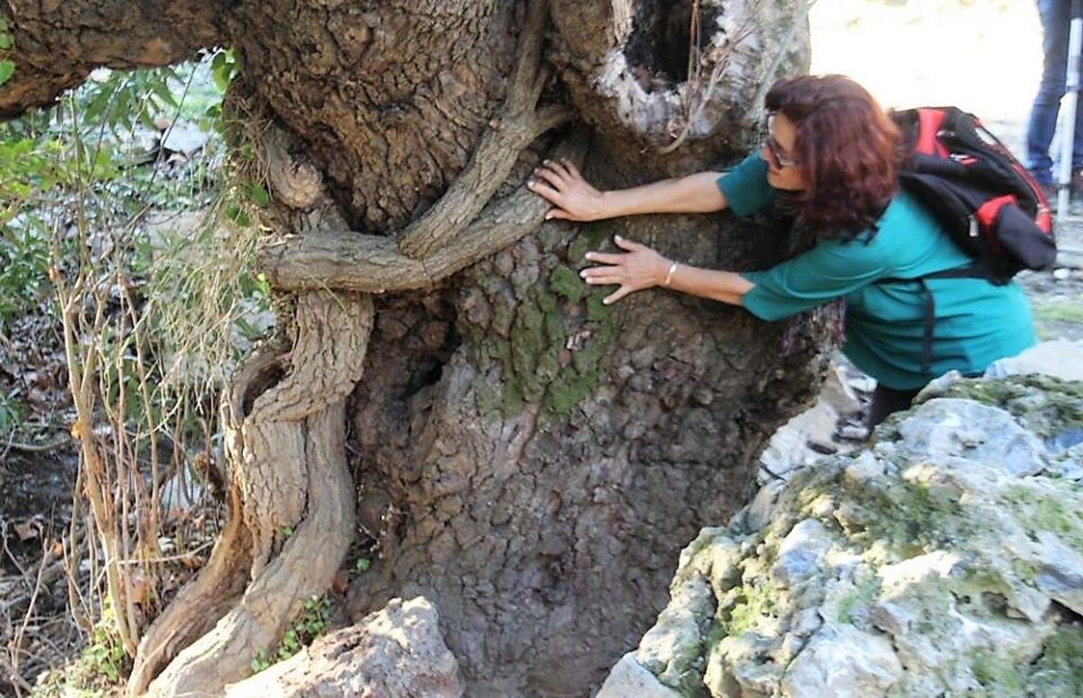 Aydınlı doğaseverler B&uuml;y&uuml;k Menderes Deltası&rsquo;nda y&uuml;r&uuml;d&uuml;