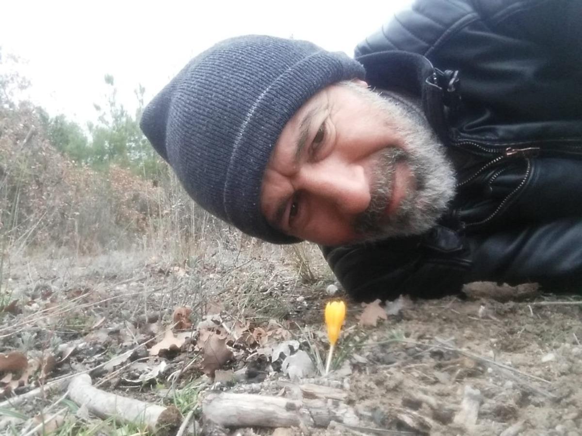 Baharın m&uuml;jdeleyicisi &rsquo;sarı &ccedil;i&ccedil;ek&rsquo; &ccedil;iğdemleri &ccedil;i&ccedil;ek a&ccedil;tı