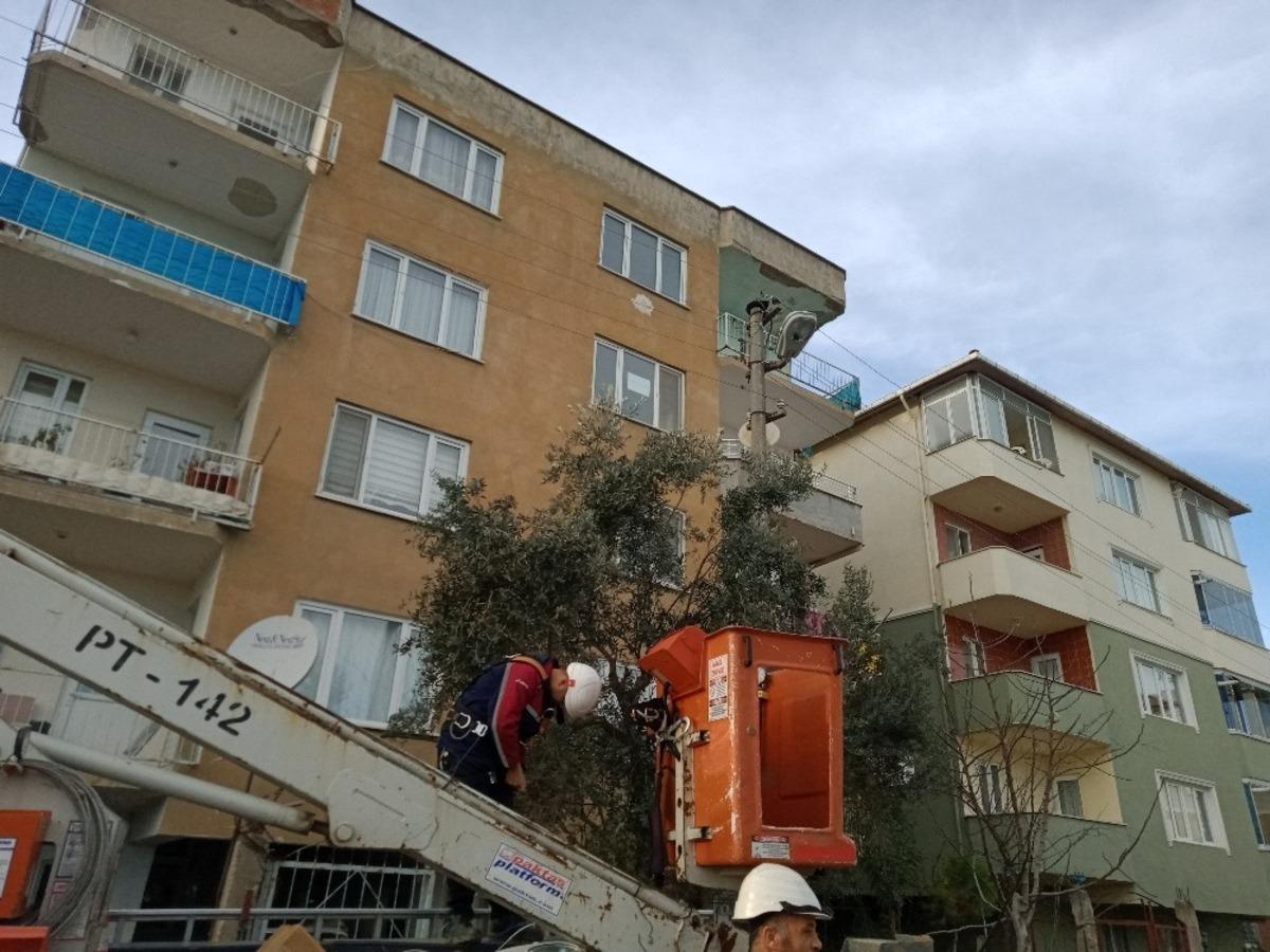 Bursa&rsquo;da kedi kurtarma operasyonu