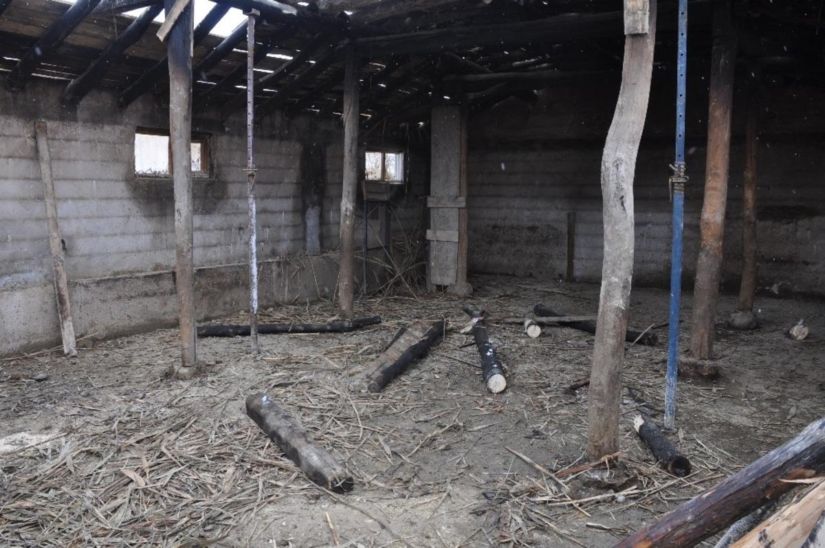 Bulanık&rsquo;ta ahır yandı: 9 hayvan telef oldu