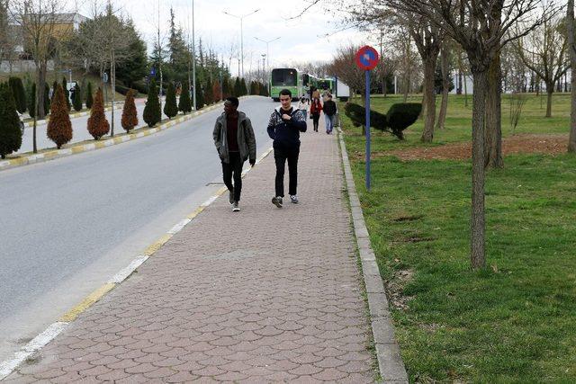 SAÜ’de bahar dönemi başladı