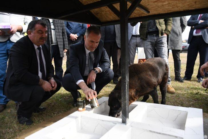 Bursa’da 10 patiye iyilik projesi G1