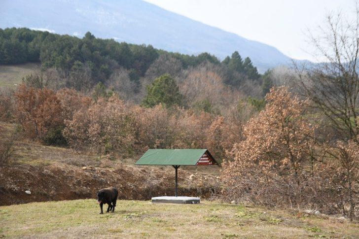 Bursa’da 10 patiye iyilik projesi G3