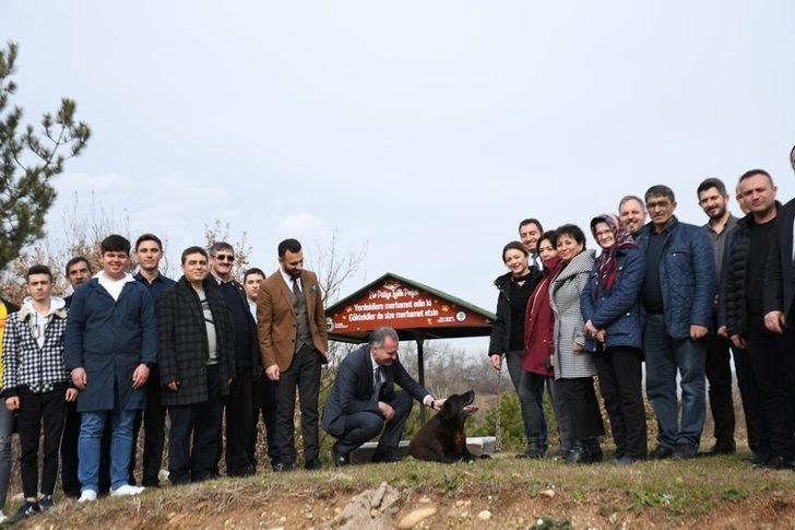 Bursa’da 10 patiye iyilik projesi G4