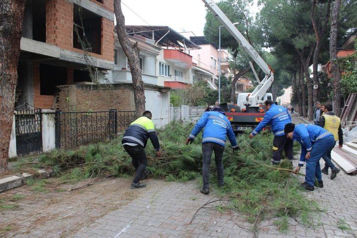 Nazilli Belediyesi’nden hizmet atağı G5