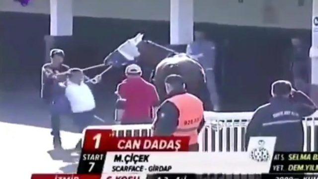 İzmir Şirinyer Hipodromu'nda atına şiddet gösteren sahibe ceza geliyor