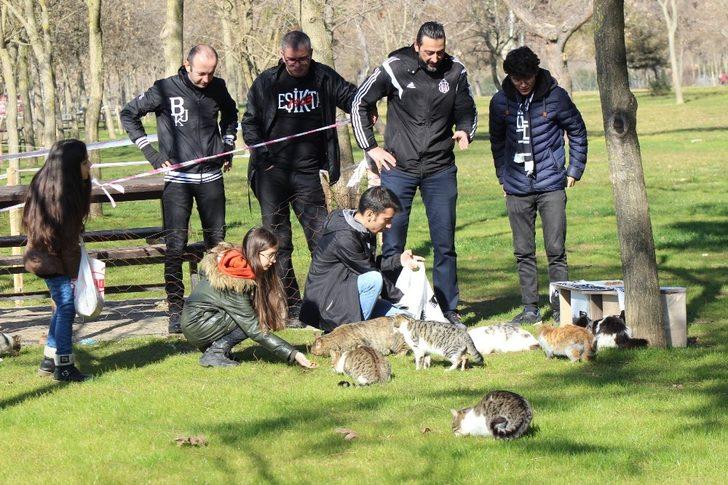 Manisa’da Beşiktaşlı taraftalar kedileri ‘Ev’lendirdi G1