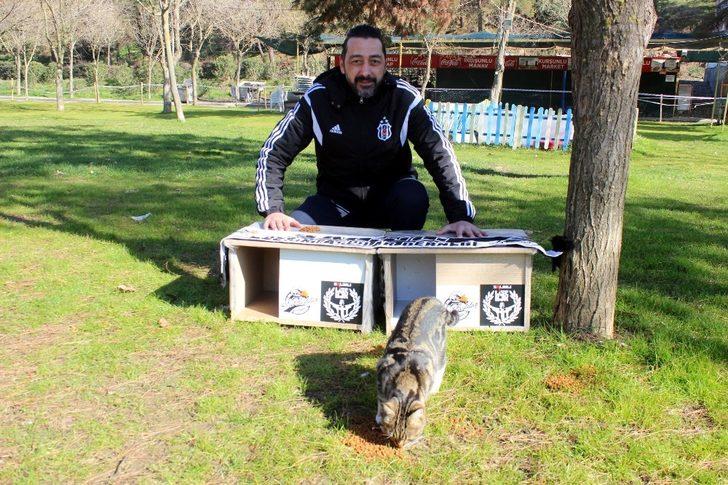 Manisa’da Beşiktaşlı taraftalar kedileri ‘Ev’lendirdi G3