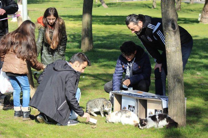 Manisa’da Beşiktaşlı taraftalar kedileri ‘Ev’lendirdi G4