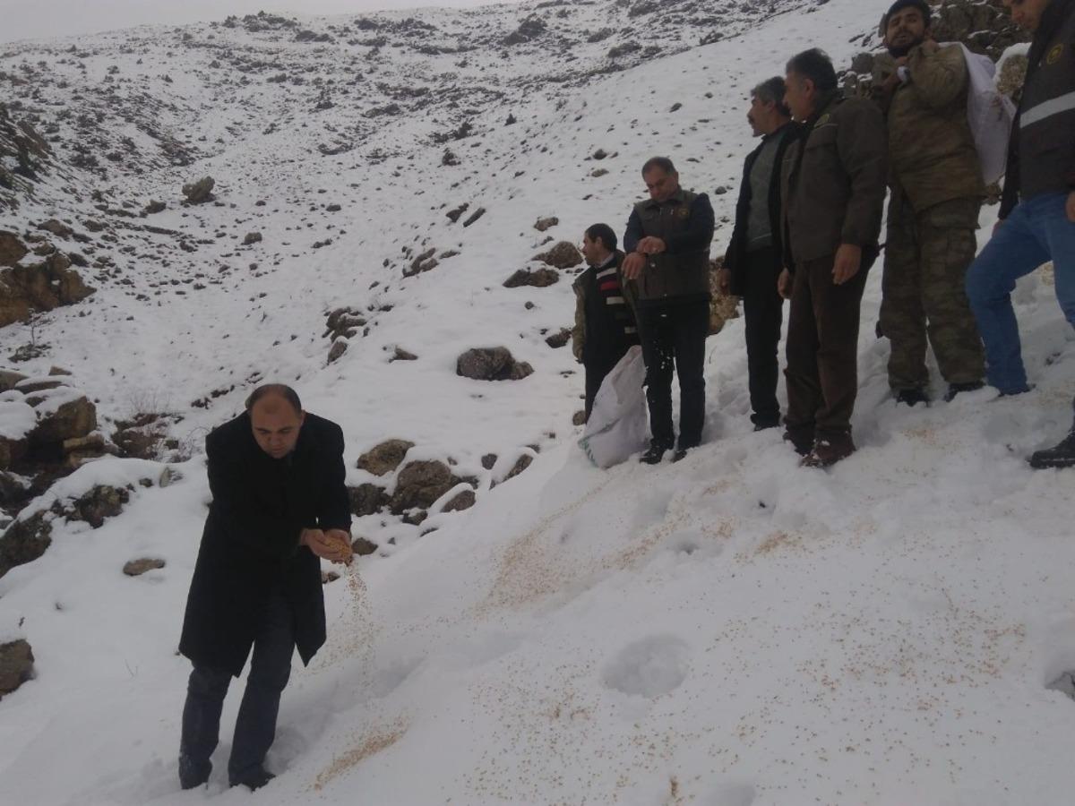 Şehit yakınları, yaban hayvanları i&ccedil;in doğaya yem bıraktı