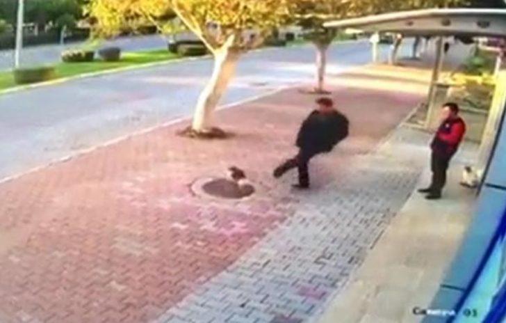 Antalya'da tepki çeken görüntü! Kedileri böyle tekmeledi G1