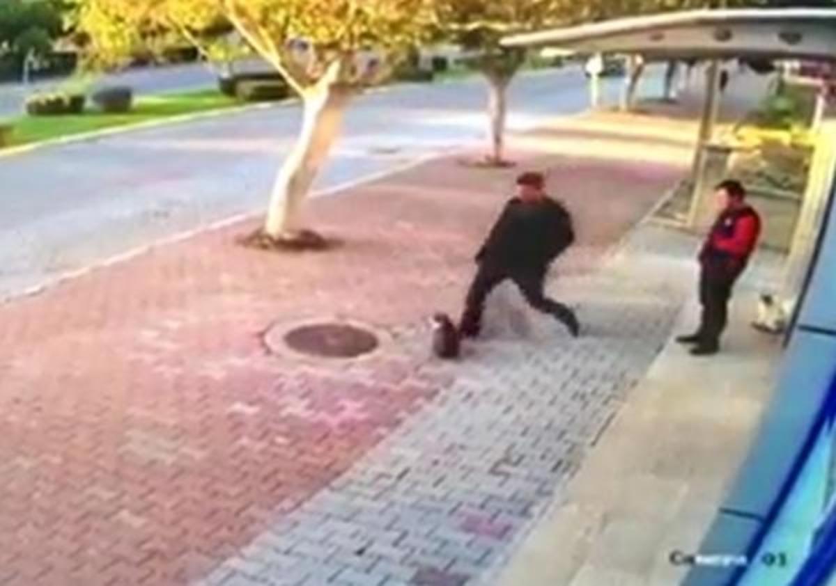 Antalya'da tepki &ccedil;eken g&ouml;r&uuml;nt&uuml;! Kedileri b&ouml;yle tekmeledi