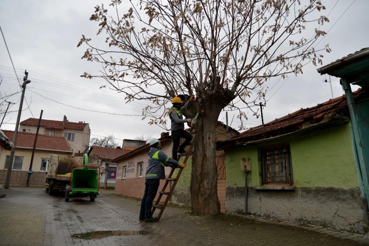 Tepebaşı&rsquo;nda ağa&ccedil;lar budanıyor
