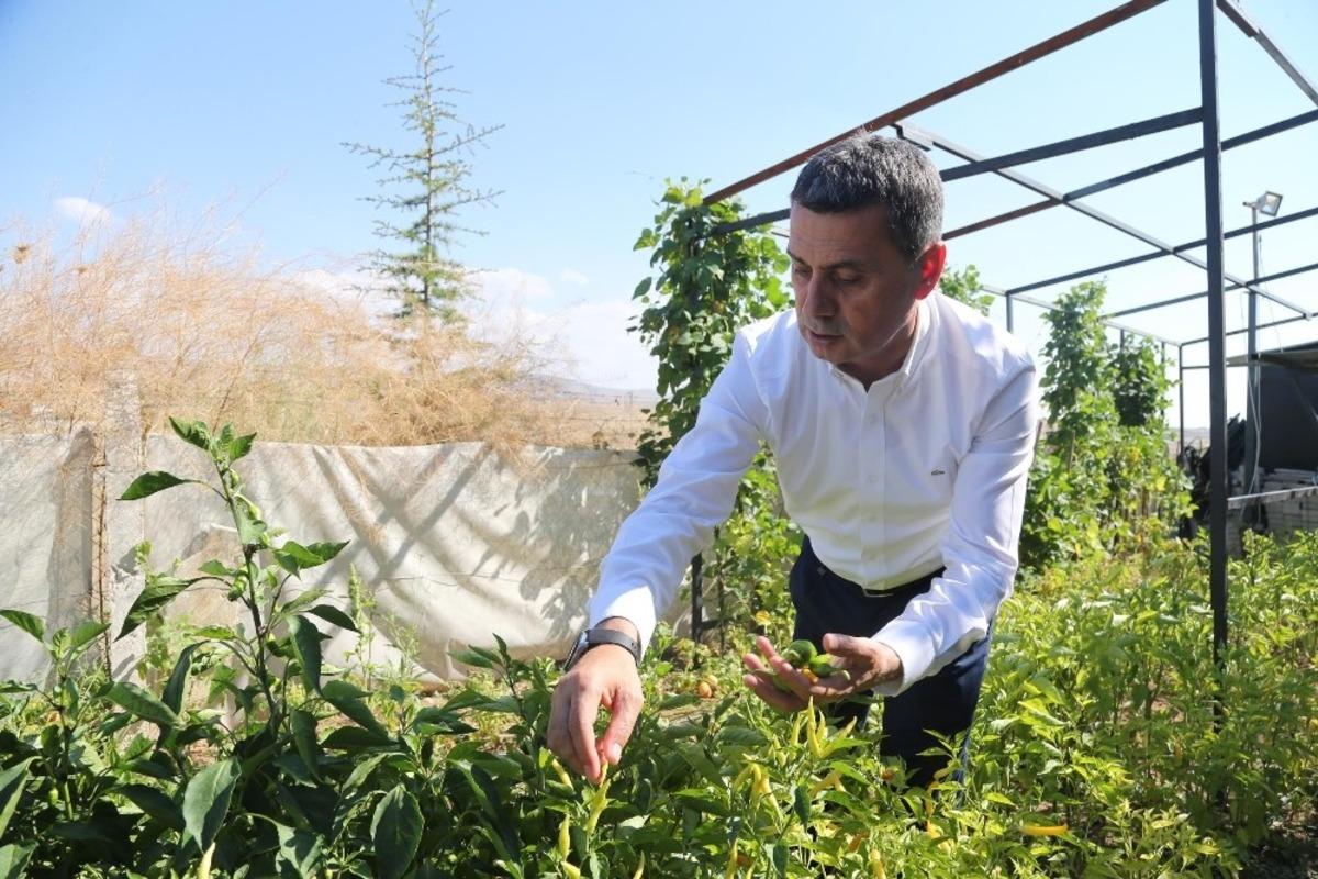 G&ouml;lbaşı Kent &Ccedil;iftliği Projesi hayata ge&ccedil;iyor