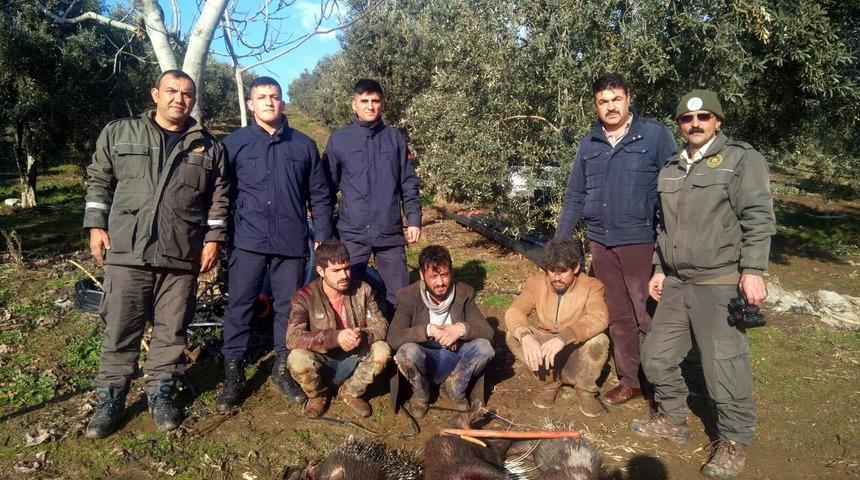 'Eti şifalı' diye oklu kirpi avlayan 3 kişiye 40 bin lira ceza