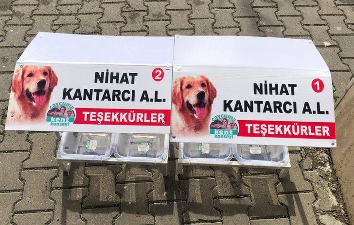 Sokak hayvanları için aşevleri yapıldı G1