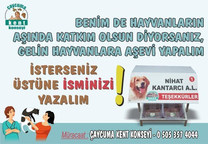 Sokak hayvanları için aşevleri yapıldı G2