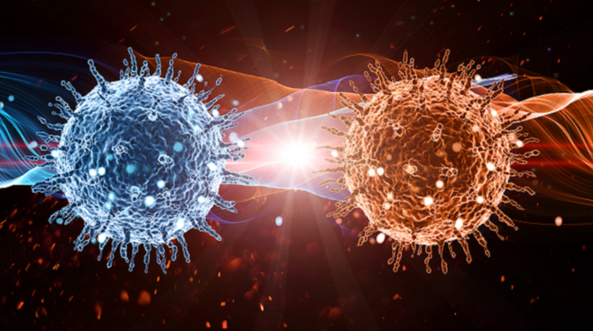 Coronavir&uuml;s İnternete Sı&ccedil;radı!