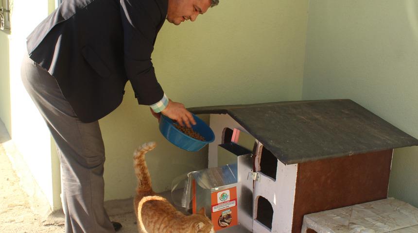 Belediyeden alkışlanacak davranış! Hayvanlar &uuml;ş&uuml;mesin diye yaptılar