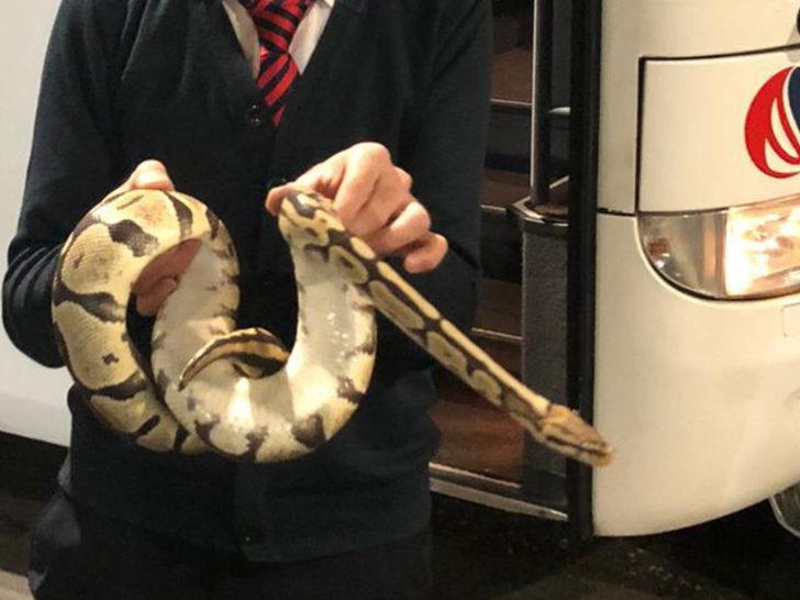 Valizden kaçan piton yolcu otobüsünde paniğe neden oldu G4