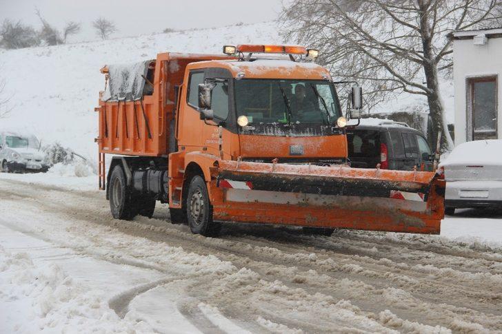 Turuncu Karıncalarda kar alarmı G1