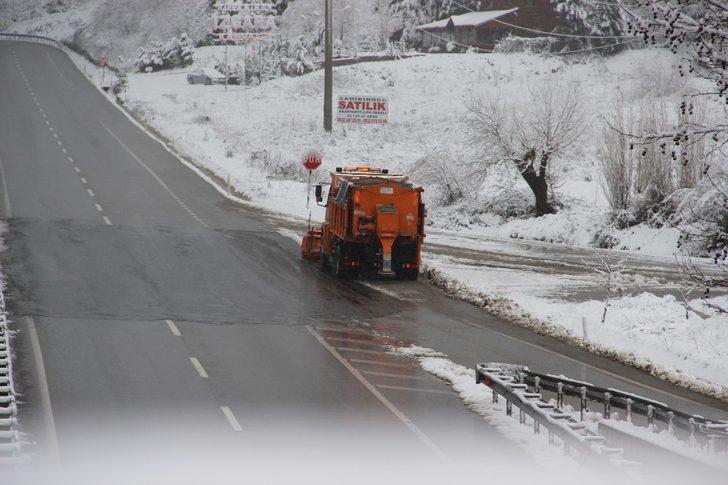 Turuncu Karıncalarda kar alarmı G4