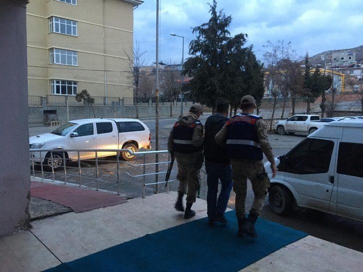 Siirt’te küçükbaş hayvan hırsızları tutuklandı G1