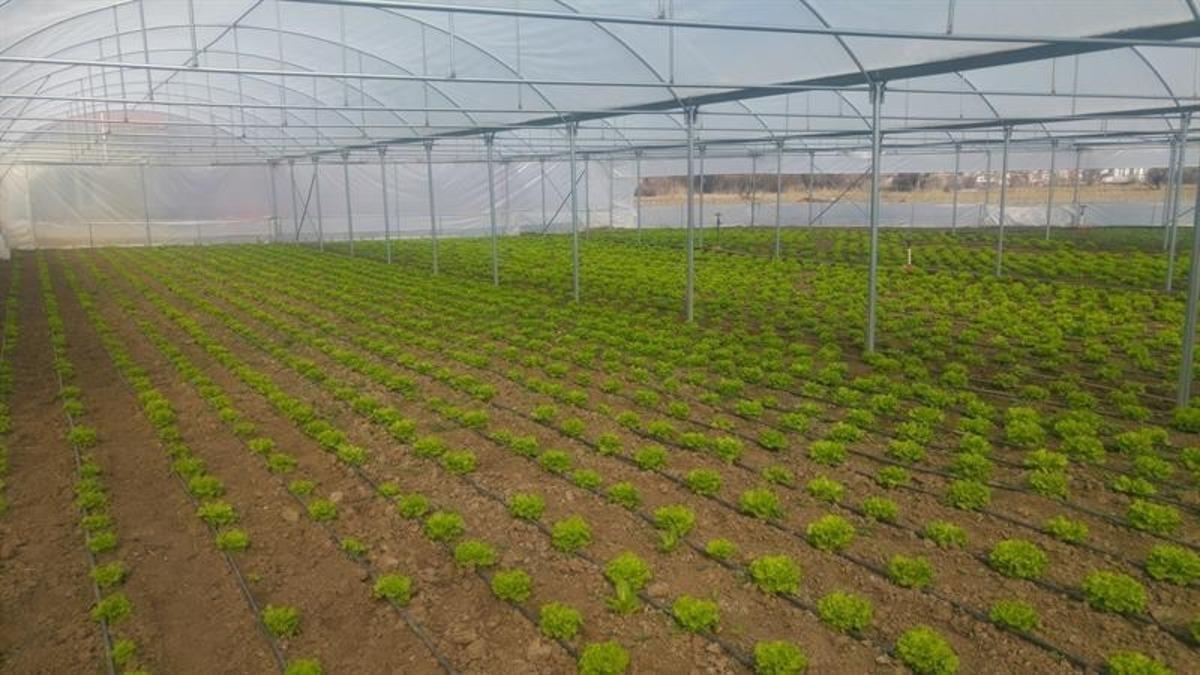 K&uuml;tahya&rsquo;da 74 projeye 8 milyon TL hibe desteği