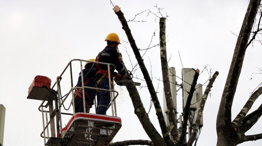Tarihi &ccedil;ınarlar bakımdan ge&ccedil;iyor