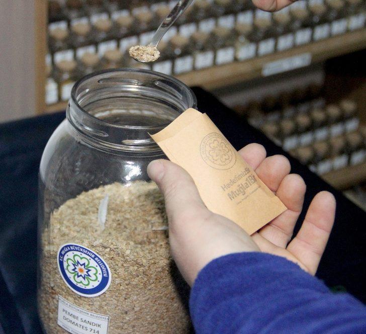 Türkiye’nin yerli tohumu Muğla’dan G3