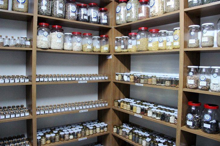 Türkiye’nin yerli tohumu Muğla’dan G4