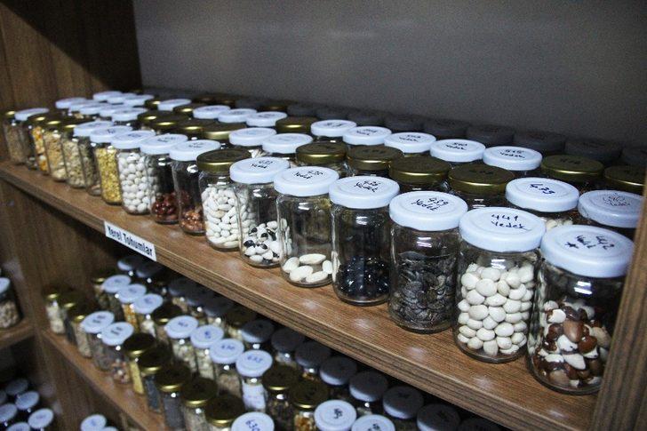 Türkiye’nin yerli tohumu Muğla’dan G5