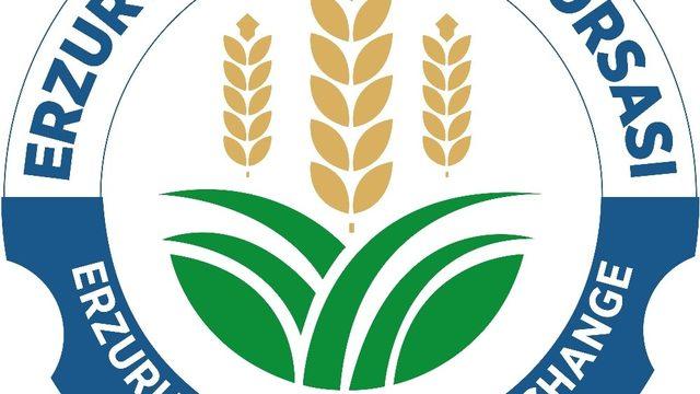 ETB’den göğermiş peynir açıklaması; “Erzurum için milli değer”