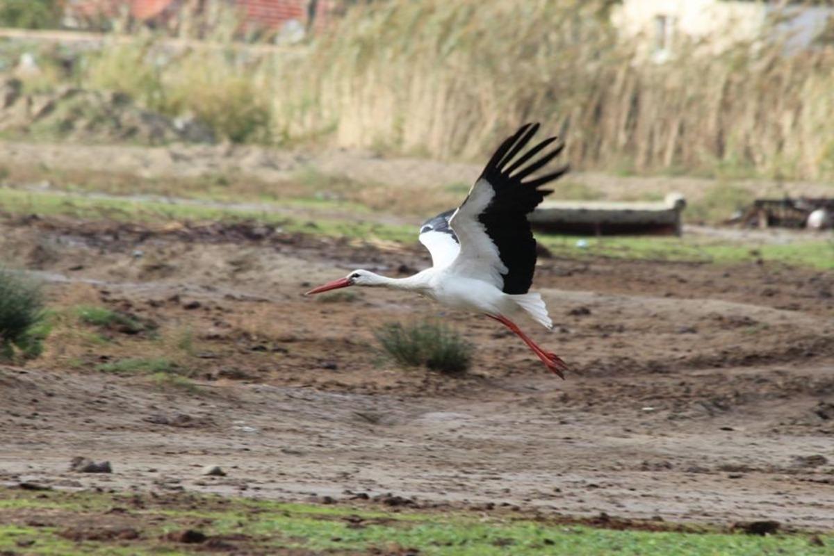 Leyleği ilk g&ouml;ren minik Enes, un &ccedil;uvalını kaptı
