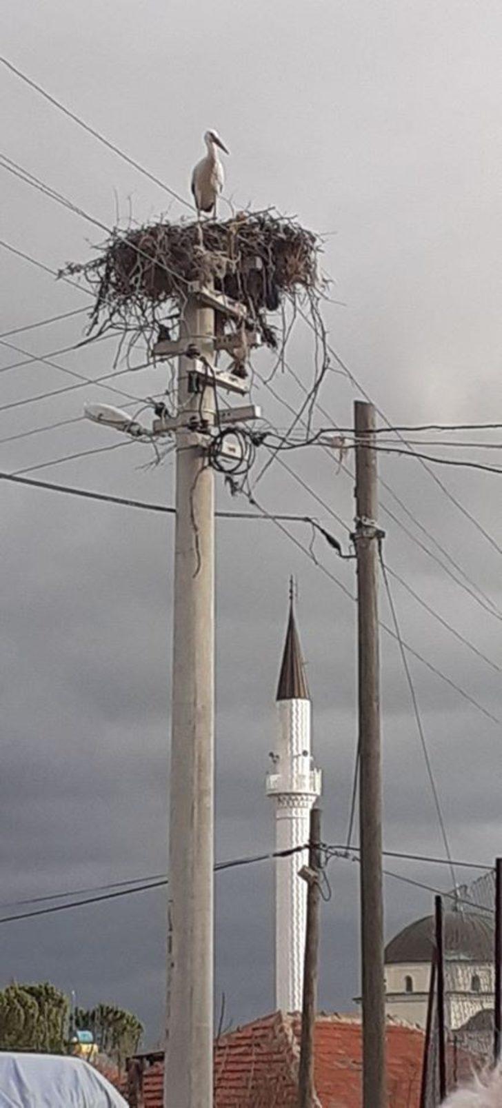 Leyleği ilk gören minik Enes, un çuvalını kaptı G5