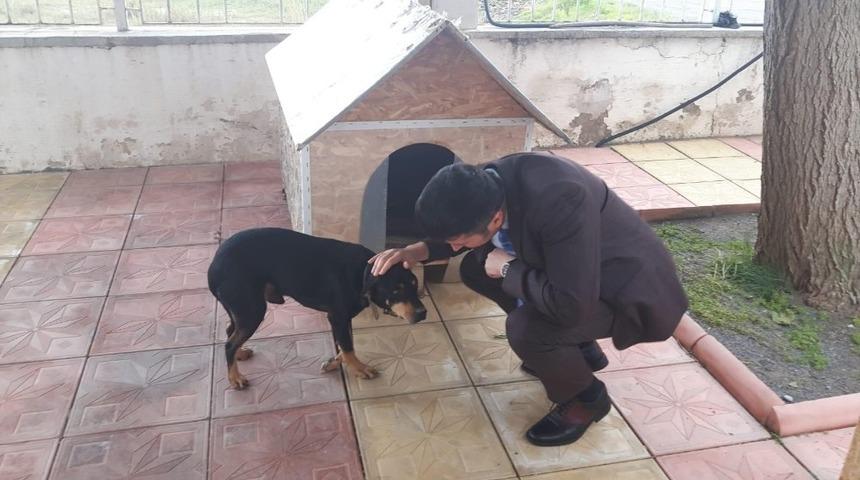 Kaymakam Yal&ccedil;ın, yaralı k&ouml;peği sahiplendi
